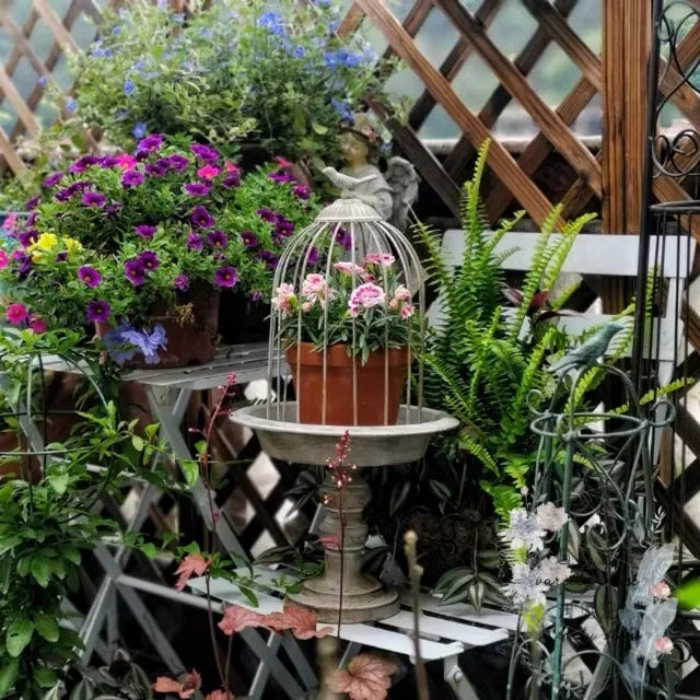 Stand ornemental pour fleurs Cage à oiseaux