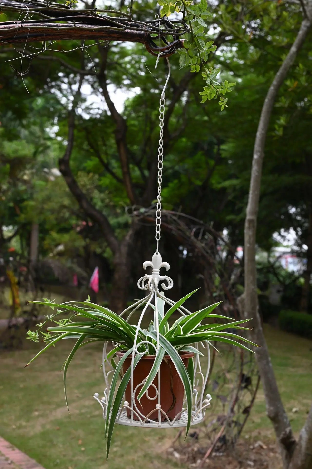 Suspension plantes et fleurs