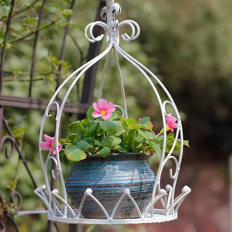 Suspension plantes et fleurs