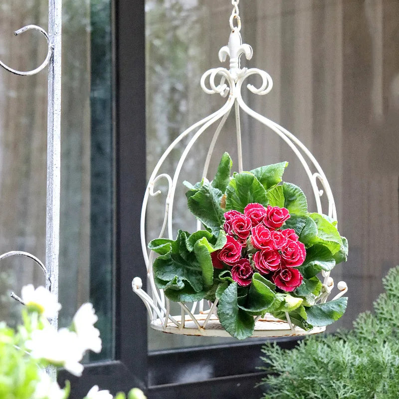 Suspension plantes et fleurs