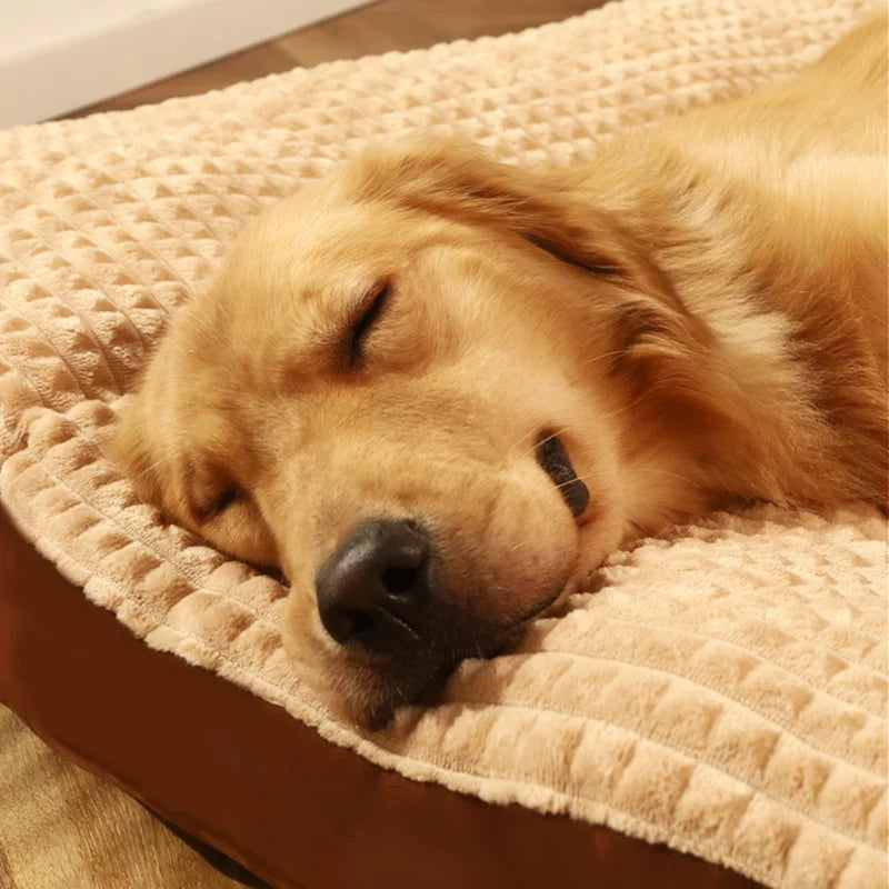 Lit confortable pour chien