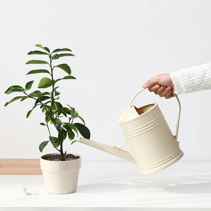 Arrosoir design moderne